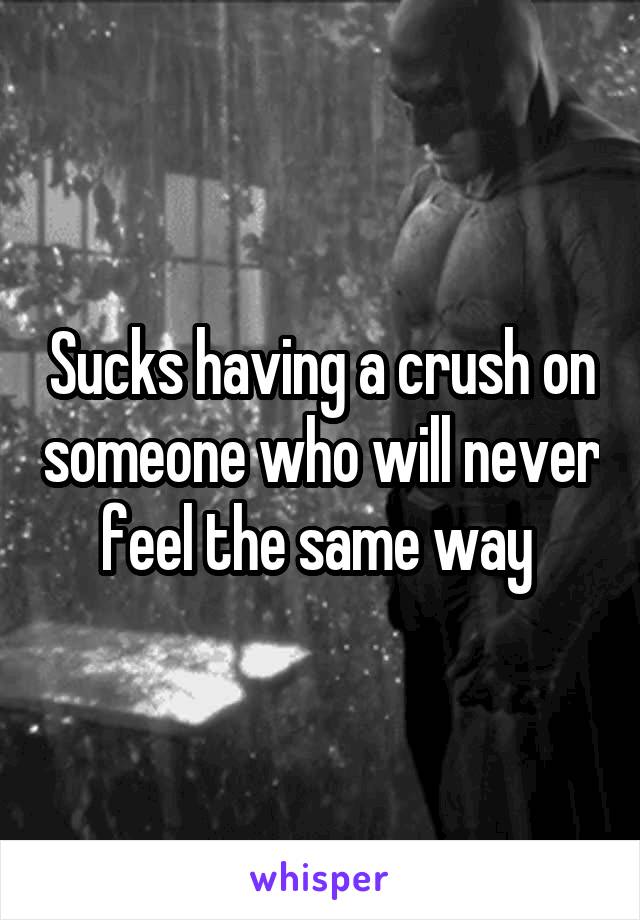 Sucks having a crush on someone who will never feel the same way 