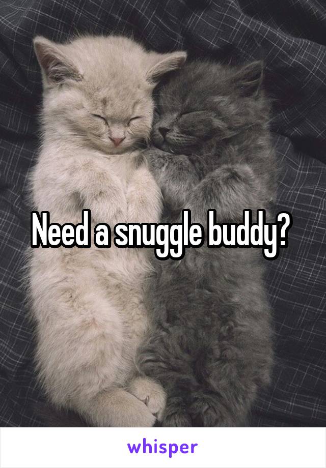 Need a snuggle buddy? 