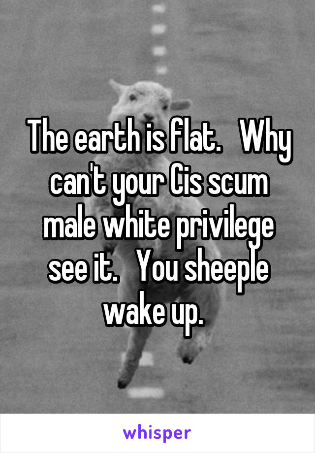 The earth is flat.   Why can't your Cis scum male white privilege see it.   You sheeple wake up.  