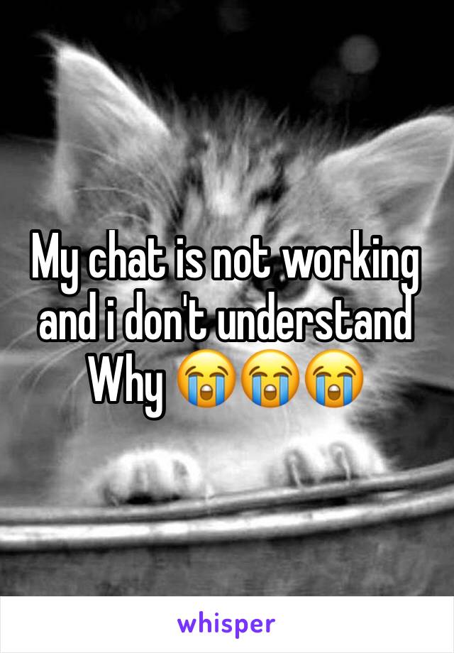 My chat is not working and i don't understand Why 😭😭😭