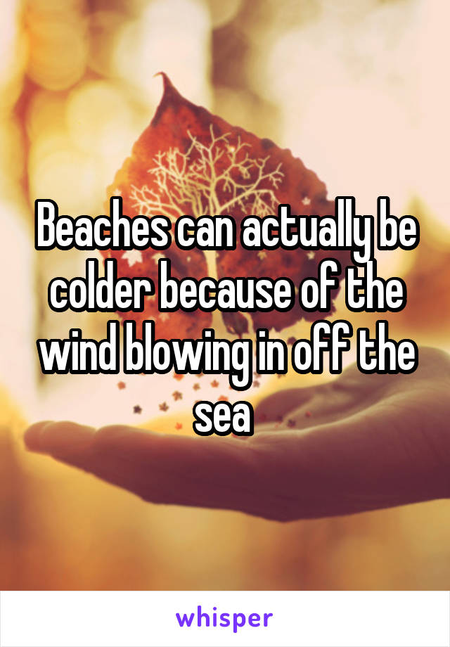 Beaches can actually be colder because of the wind blowing in off the sea 