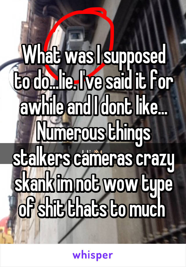 What was I supposed to do...lie. I've said it for awhile and I dont like... Numerous things stalkers cameras crazy skank im not wow type of shit thats to much 