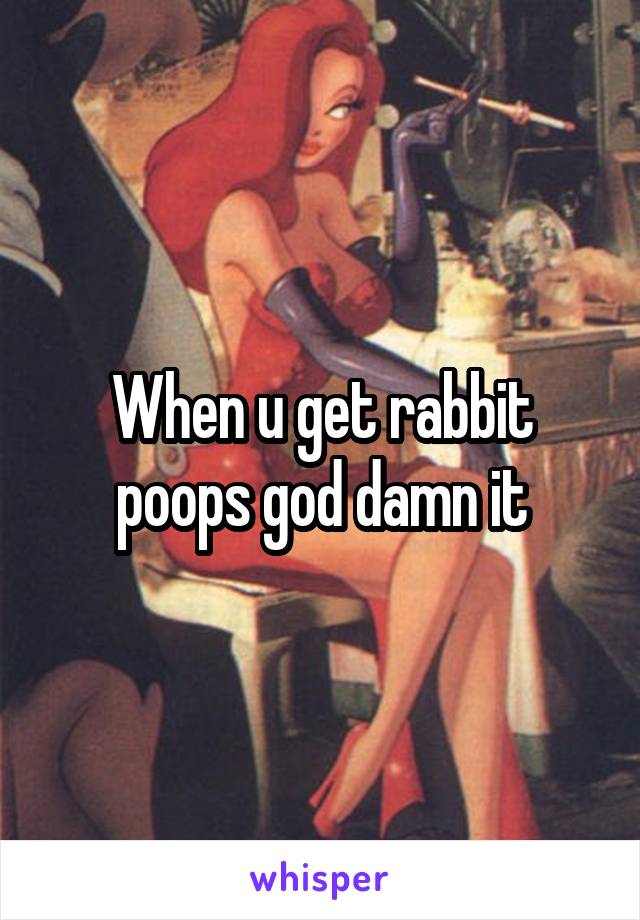 When u get rabbit poops god damn it