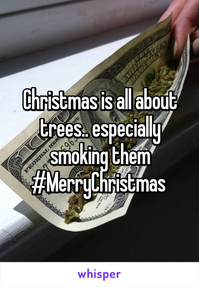 Christmas is all about trees.. especially smoking them #MerryChristmas 
