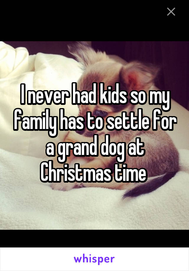 I never had kids so my family has to settle for a grand dog at Christmas time 