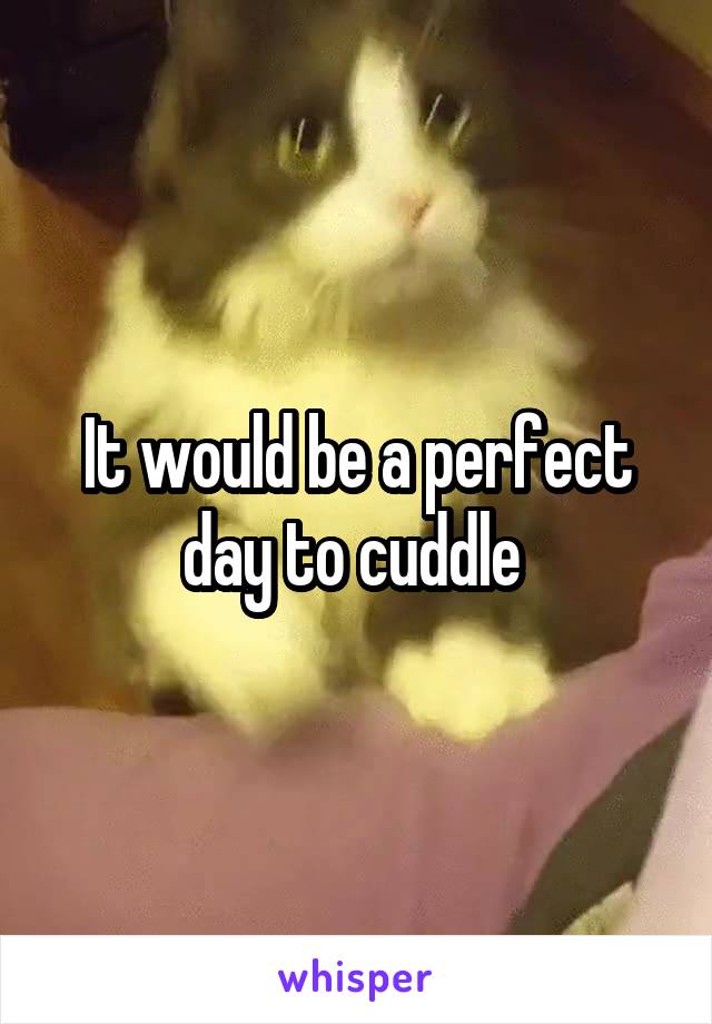 It would be a perfect day to cuddle 