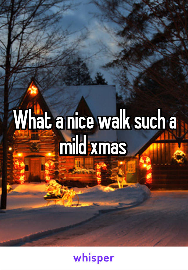 What a nice walk such a mild xmas 