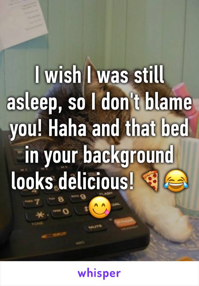I wish I was still asleep, so I don't blame you! Haha and that bed in your background looks delicious! 🍕😂😋