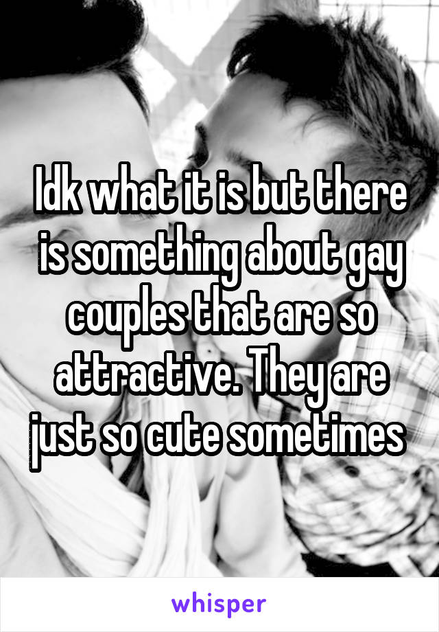 Idk what it is but there is something about gay couples that are so attractive. They are just so cute sometimes 