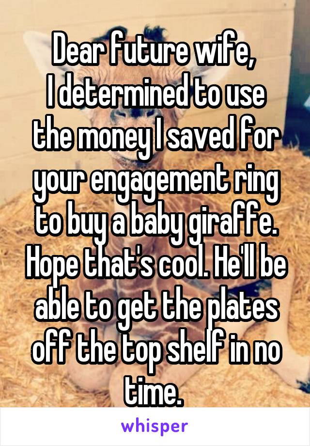 Dear future wife, 
I determined to use the money I saved for your engagement ring to buy a baby giraffe. Hope that's cool. He'll be able to get the plates off the top shelf in no time. 