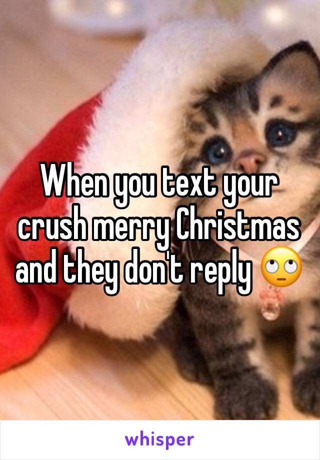 When you text your crush merry Christmas and they don't reply 🙄