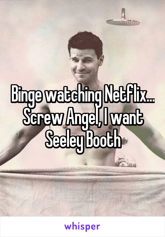 Binge watching Netflix... Screw Angel, I want Seeley Booth