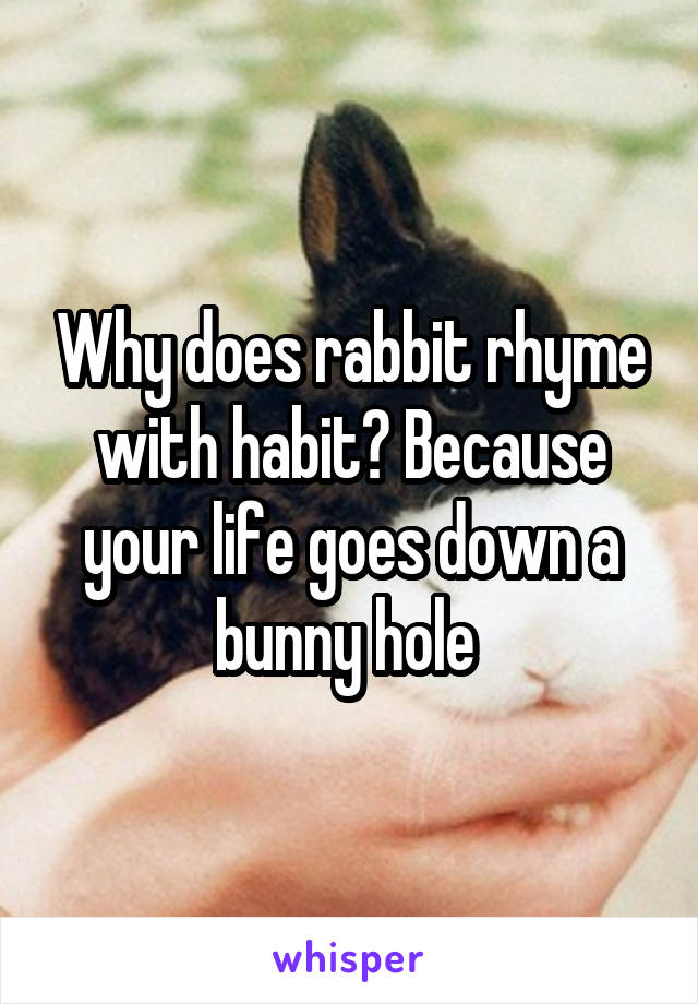 Why does rabbit rhyme with habit? Because your life goes down a bunny hole 
