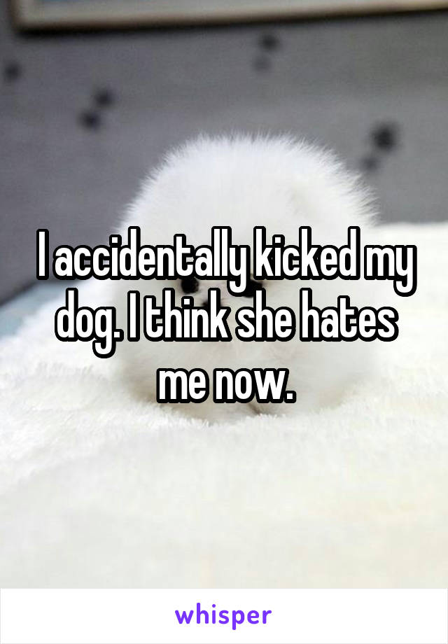 I accidentally kicked my dog. I think she hates me now.