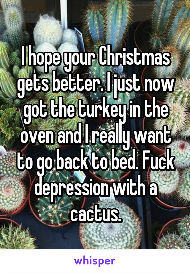 I hope your Christmas gets better. I just now got the turkey in the oven and I really want to go back to bed. Fuck depression with a cactus.