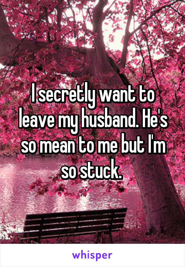 I secretly want to leave my husband. He's so mean to me but I'm so stuck. 