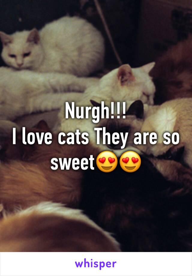 Nurgh!!!
I love cats They are so sweet😍😍