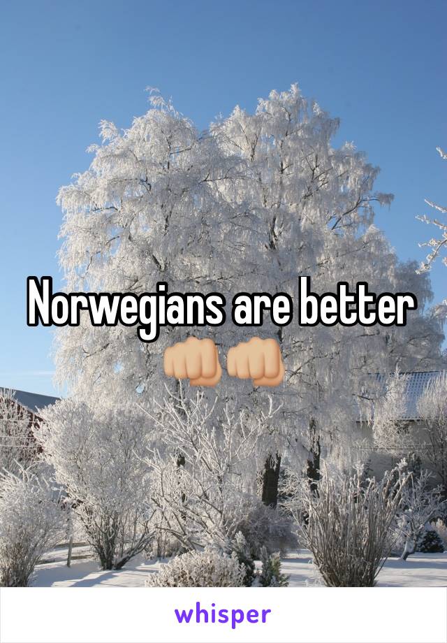 Norwegians are better 👊🏼👊🏼