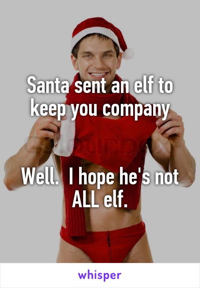 Santa sent an elf to keep you company


Well.  I hope he's not ALL elf.