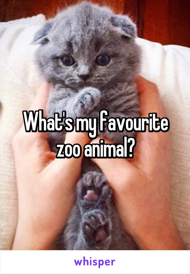 What's my favourite zoo animal?