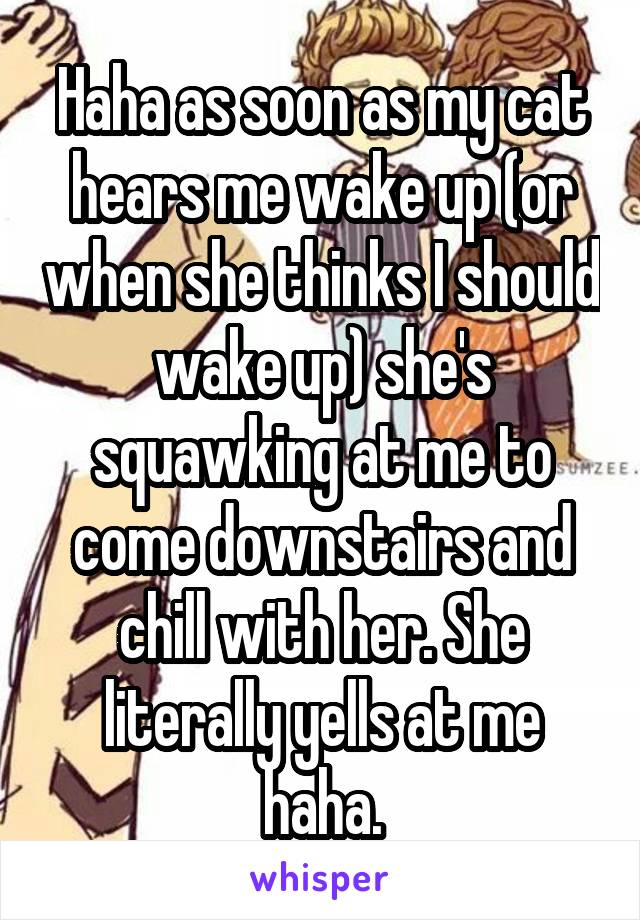 Haha as soon as my cat hears me wake up (or when she thinks I should wake up) she's squawking at me to come downstairs and chill with her. She literally yells at me haha.