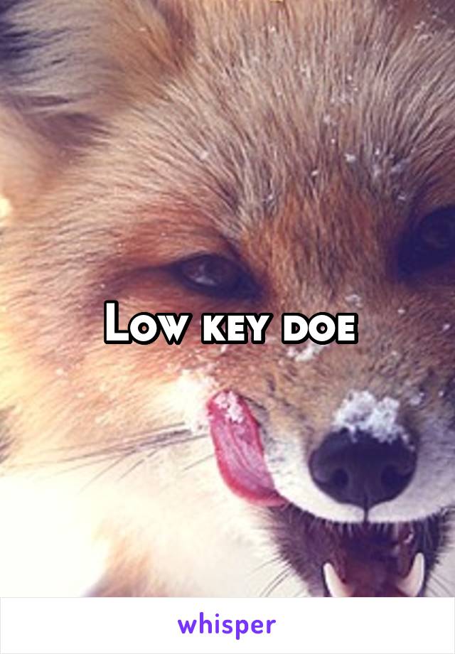 Low key doe