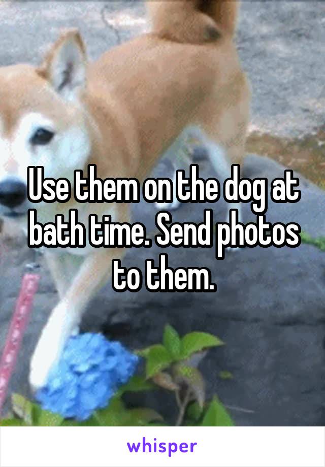 Use them on the dog at bath time. Send photos to them.