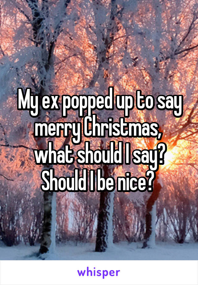 My ex popped up to say merry Christmas,  what should I say? Should I be nice? 