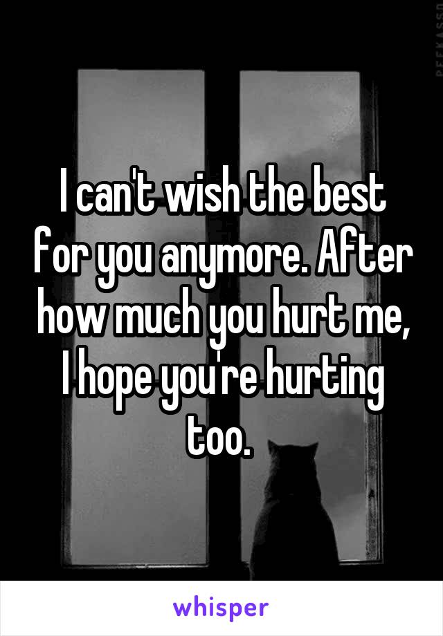 I can't wish the best for you anymore. After how much you hurt me, I hope you're hurting too. 