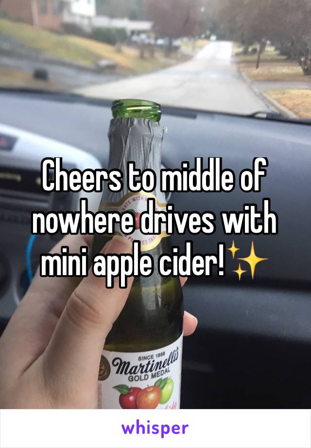 Cheers to middle of nowhere drives with mini apple cider!✨