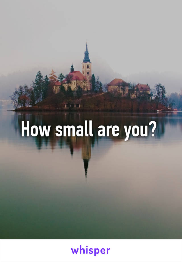 How small are you? 