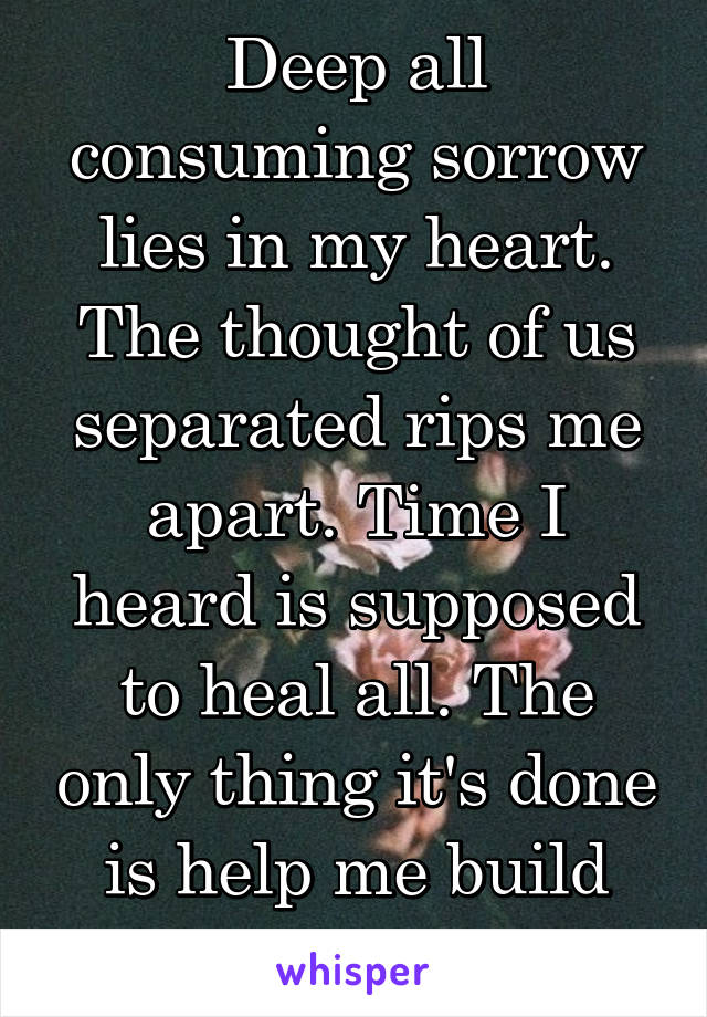 Deep all consuming sorrow lies in my heart. The thought of us separated rips me apart. Time I heard is supposed to heal all. The only thing it's done is help me build walls.