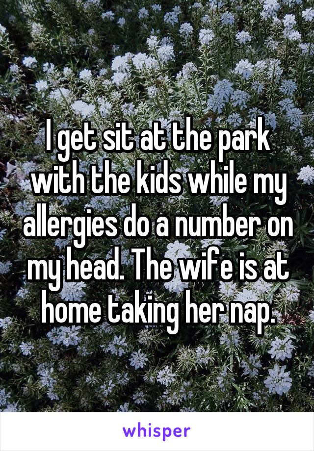 I get sit at the park with the kids while my allergies do a number on my head. The wife is at home taking her nap.