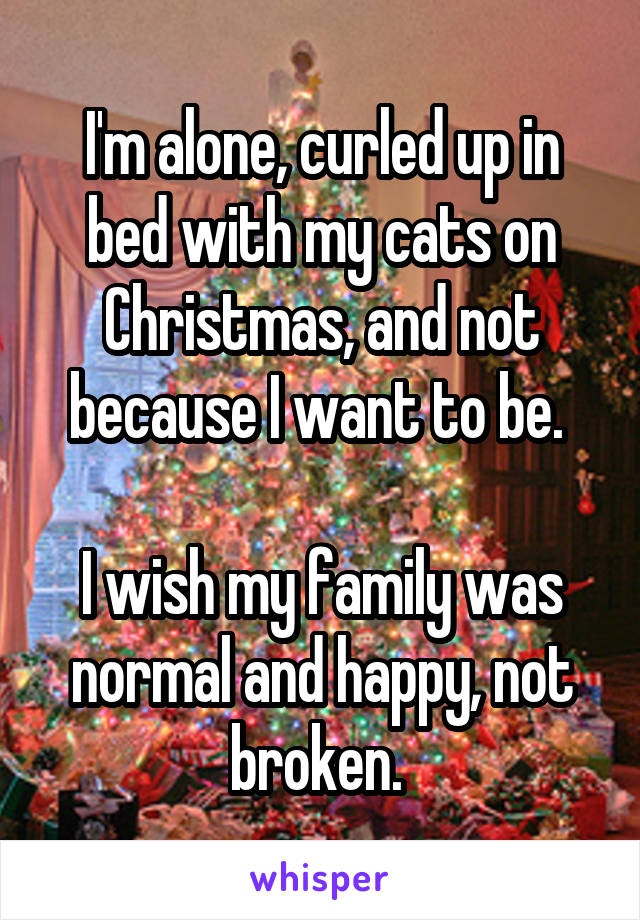 I'm alone, curled up in bed with my cats on Christmas, and not because I want to be. 

I wish my family was normal and happy, not broken. 