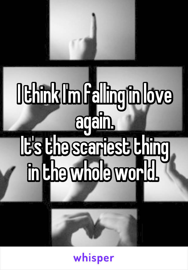 I think I'm falling in love again.
It's the scariest thing in the whole world. 