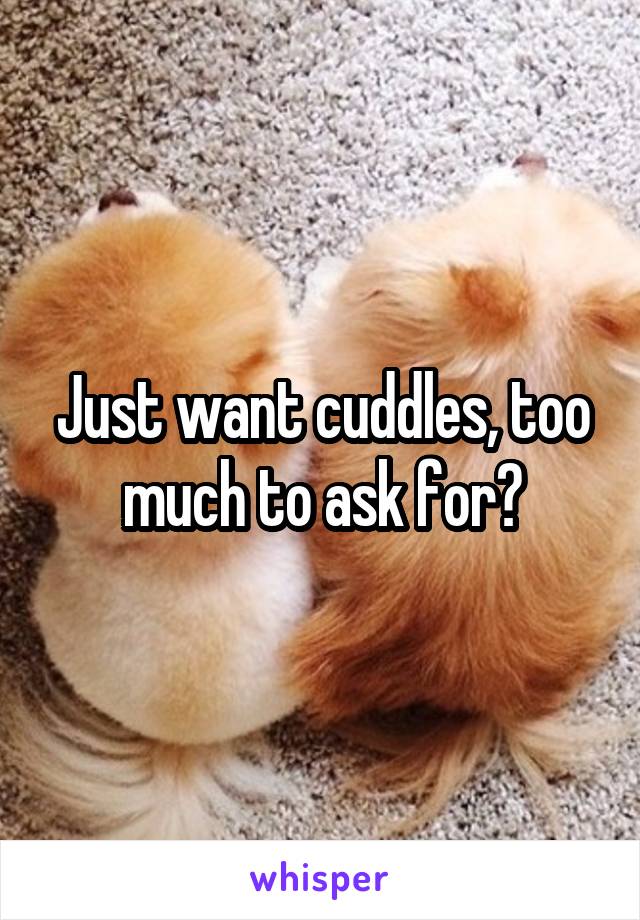 Just want cuddles, too much to ask for?