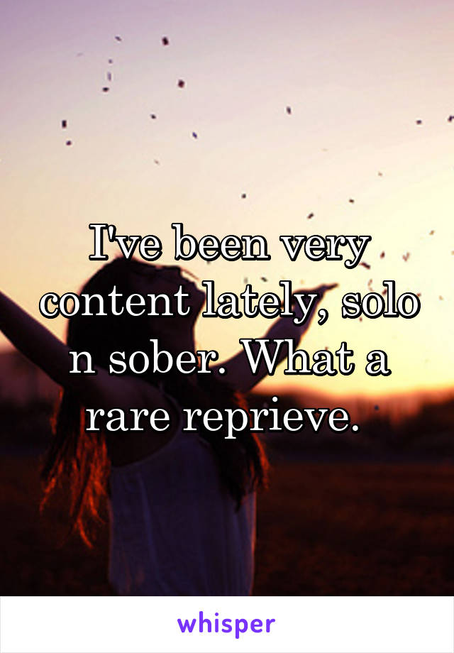 I've been very content lately, solo n sober. What a rare reprieve. 