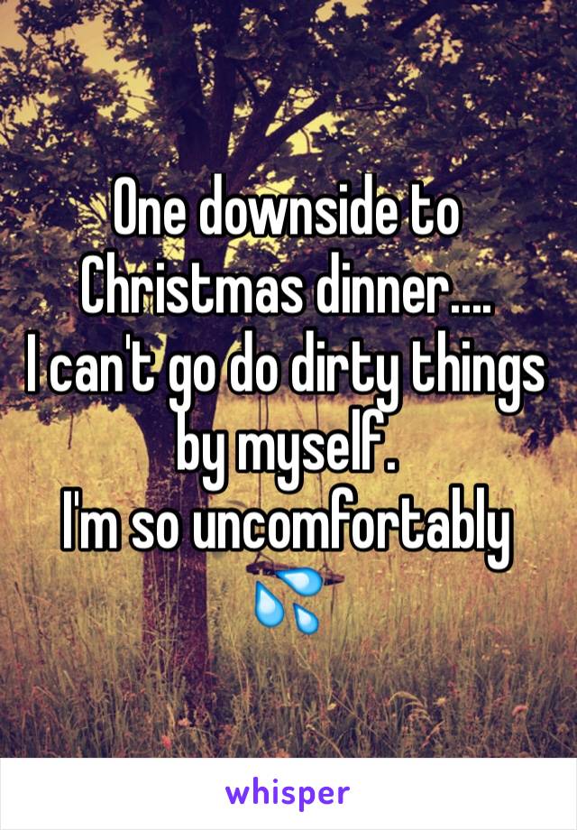 One downside to Christmas dinner....
I can't go do dirty things by myself.
I'm so uncomfortably 💦 