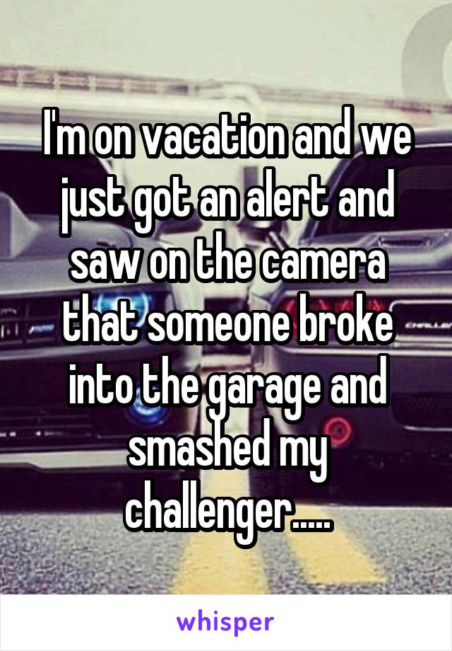 I'm on vacation and we just got an alert and saw on the camera that someone broke into the garage and smashed my challenger.....