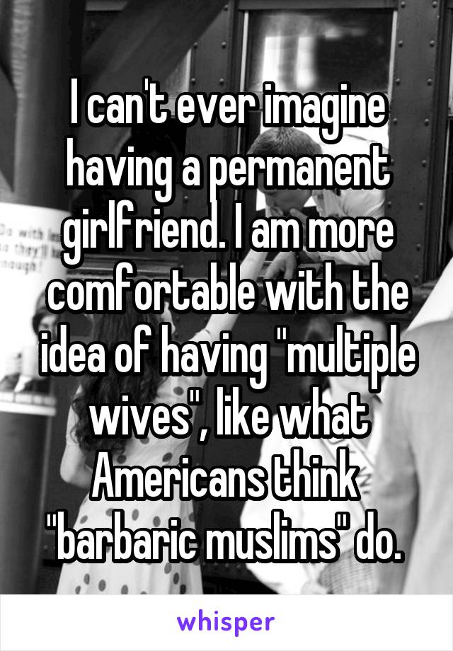 I can't ever imagine having a permanent girlfriend. I am more comfortable with the idea of having "multiple wives", like what Americans think 
"barbaric muslims" do. 