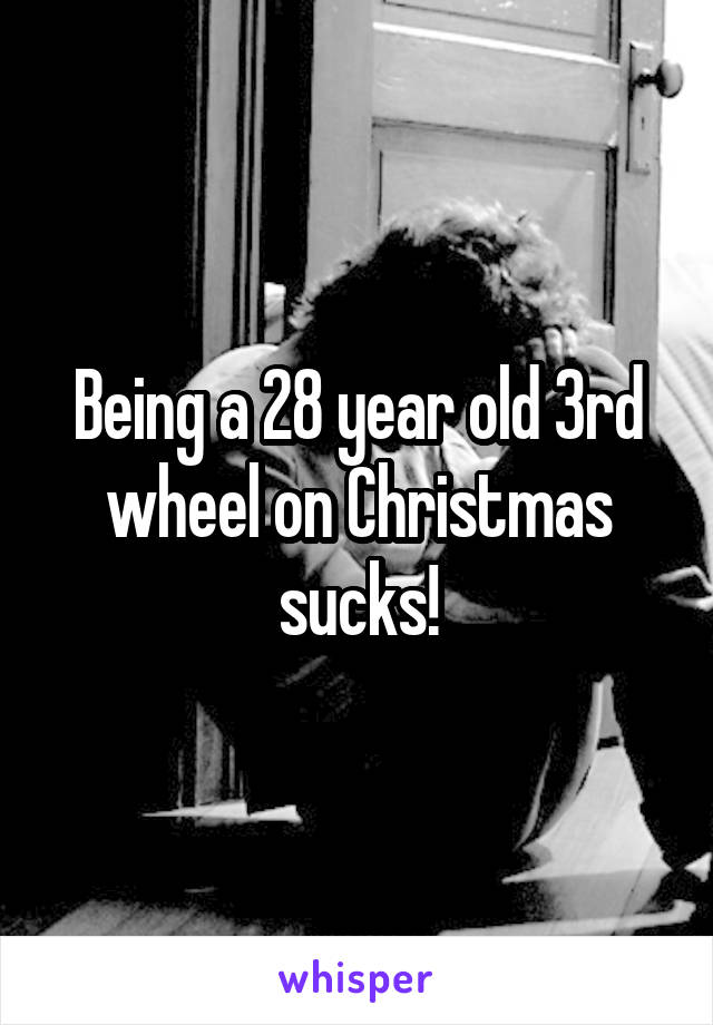 Being a 28 year old 3rd wheel on Christmas sucks!