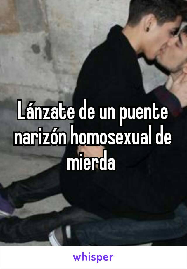 Lánzate de un puente narizón homosexual de mierda 