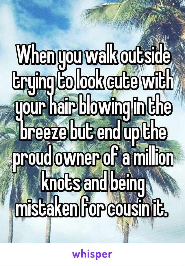 When you walk outside trying to look cute with your hair blowing in the breeze but end up the proud owner of a million knots and being mistaken for cousin it. 