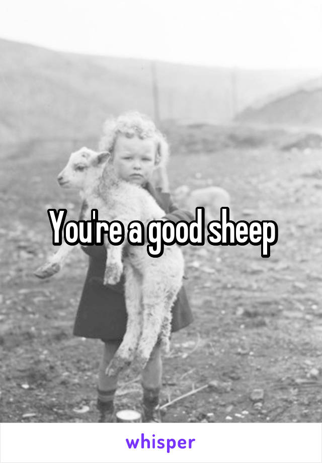 You're a good sheep