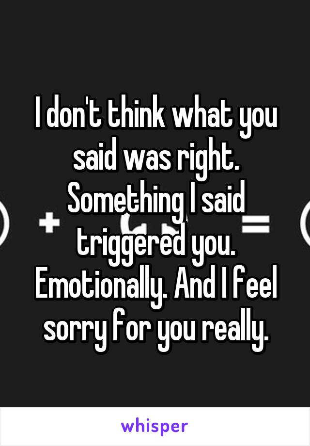 I don't think what you said was right. Something I said triggered you. Emotionally. And I feel sorry for you really.