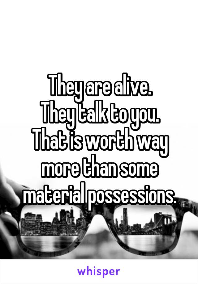 They are alive.
They talk to you.
That is worth way more than some material possessions.