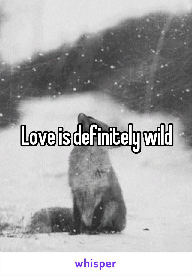 Love is definitely wild