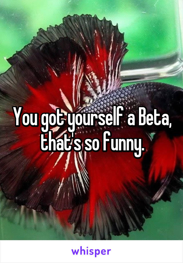 You got yourself a Beta, that's so funny.