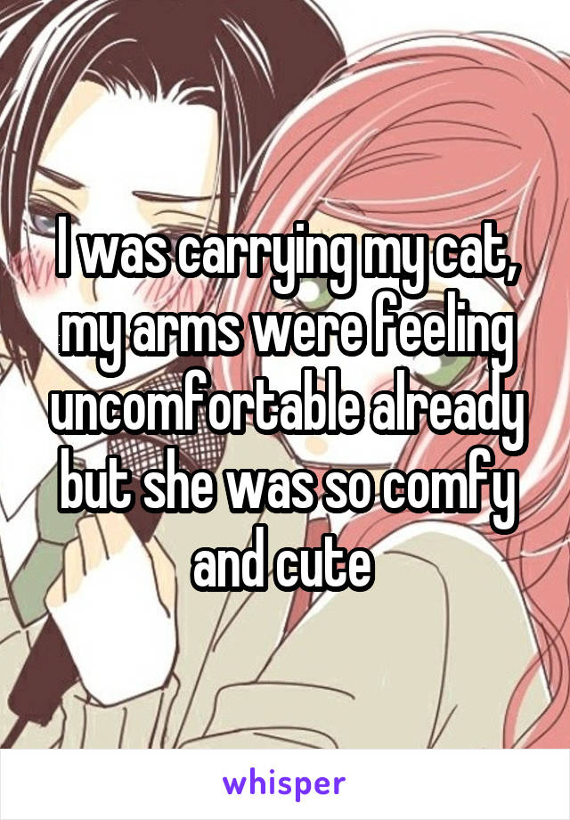 I was carrying my cat, my arms were feeling uncomfortable already but she was so comfy and cute 