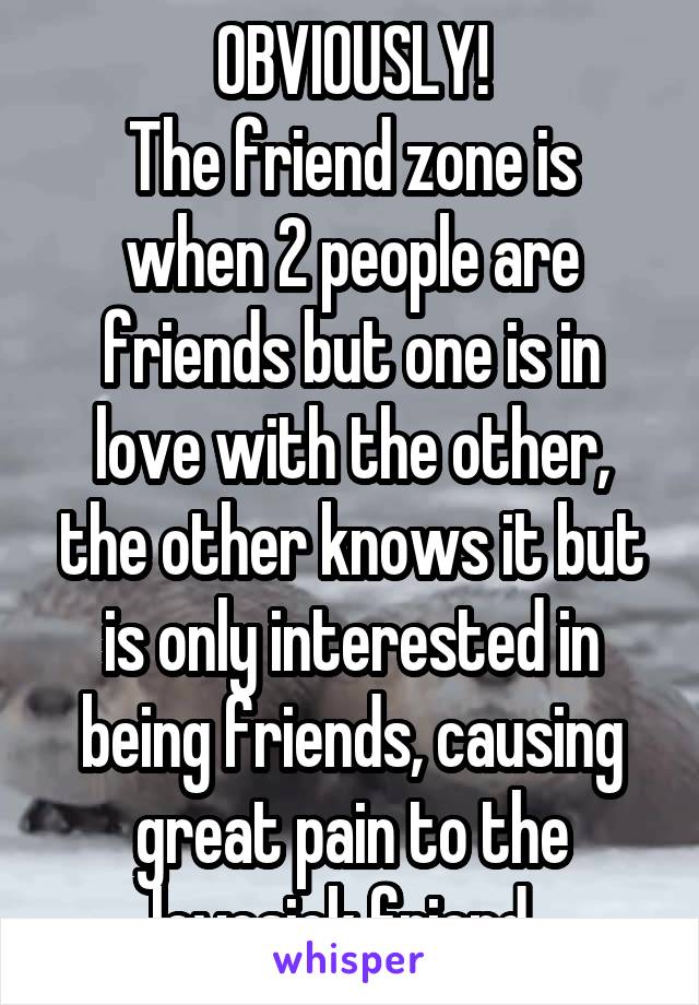 OBVIOUSLY!
The friend zone is when 2 people are friends but one is in love with the other, the other knows it but is only interested in being friends, causing great pain to the lovesick friend. 